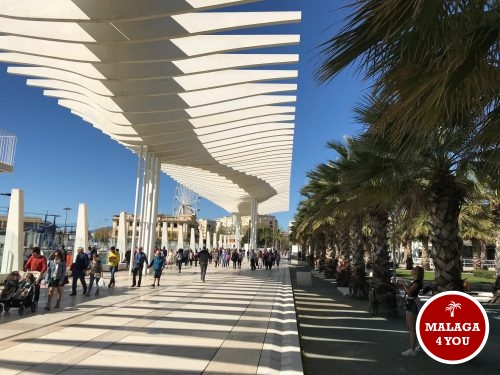 muelle dos palmeral de sorpresas promenade