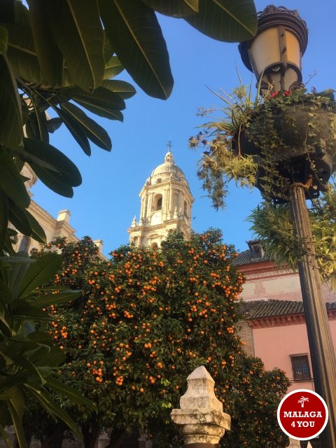 kathedraal la manquita malaga naranja