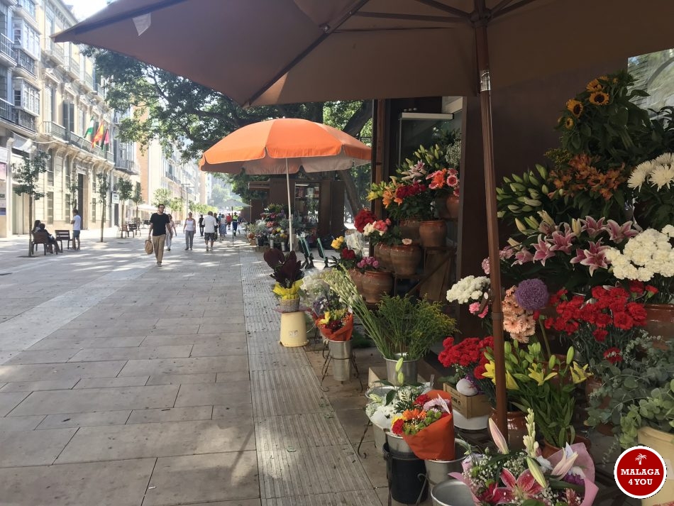 Alameda Principal flowers