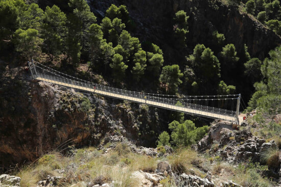 el saltillo puente colgante diep