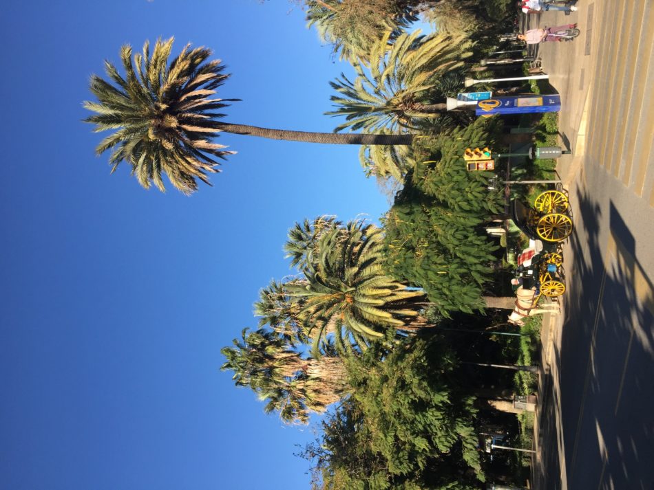 Paseo del Parque Málaga